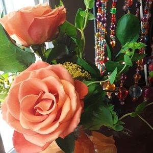 Meet your Posher, Kerri